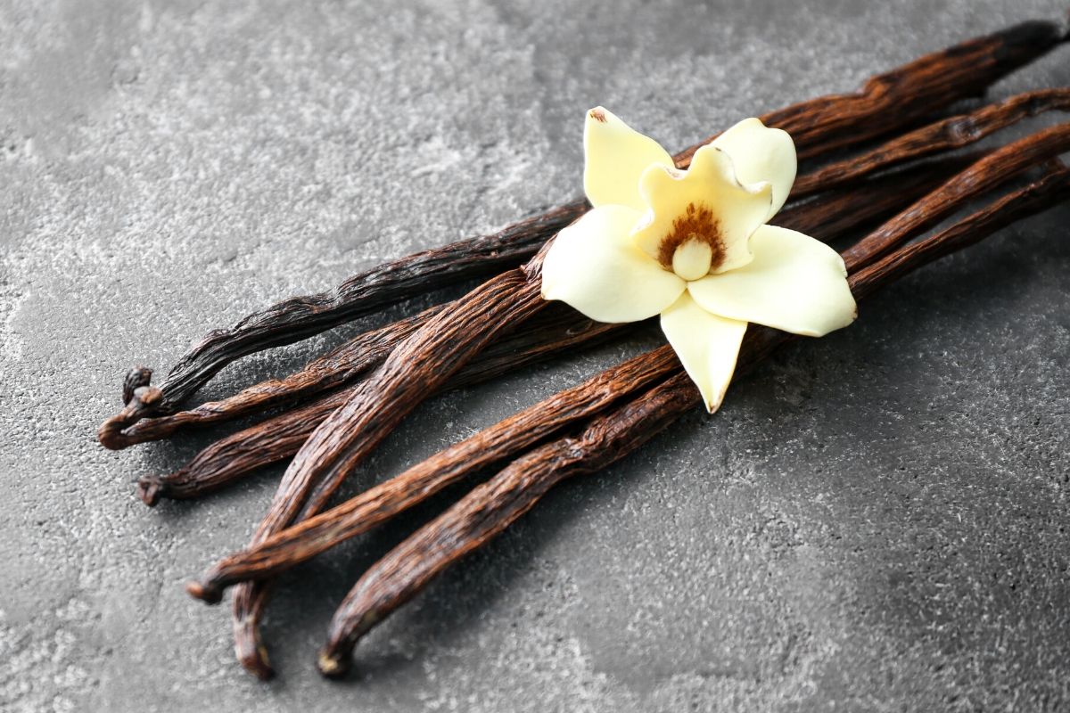 Vela de Vainilla