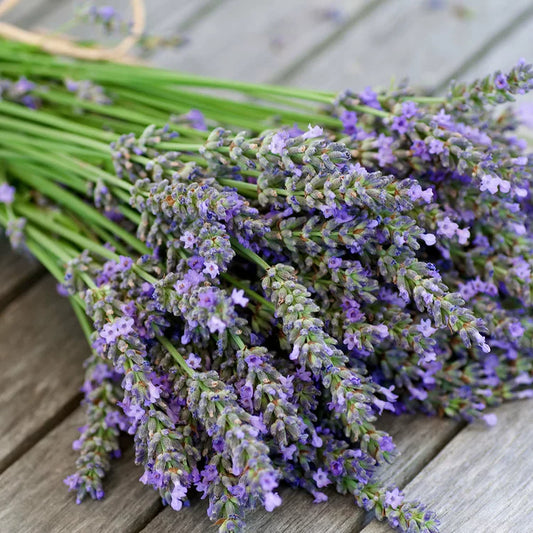 Vela de Lavanda