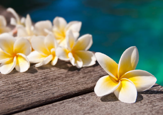 Vela de Flor de Tahití